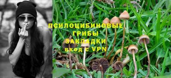а пвп мука Алзамай