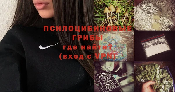 соль ск Алексин