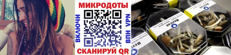 Галлюциногенные грибы GOLDEN TEACHER  Черкесск 