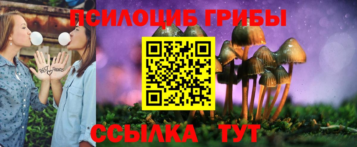 Псилоцибиновые грибы мицелий Черкесск